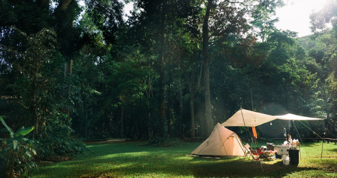 Kamperen in de achtertuin of boomgaard bij een particulier waarbij je de plekken kan vinden bij campspace