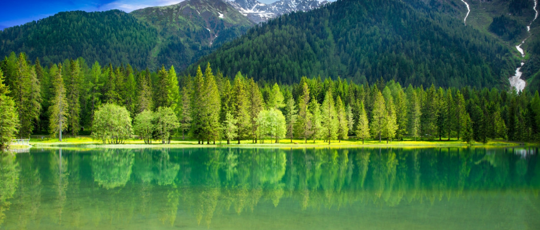 Een groot meer met daarachter een groen bos met veel naaldbomen zorgen voor een prachtig en spectaculair uitzicht