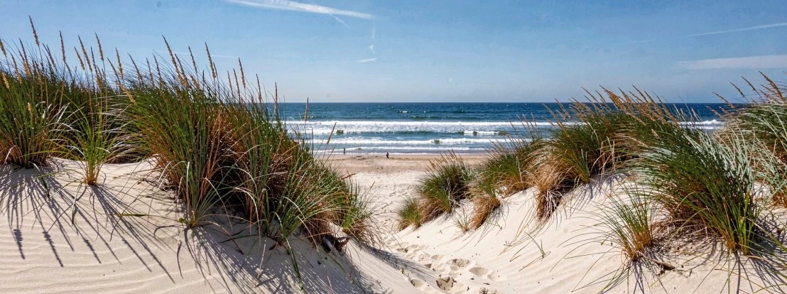 Met een helder blauwe lucht duinen met duingras in zeeland